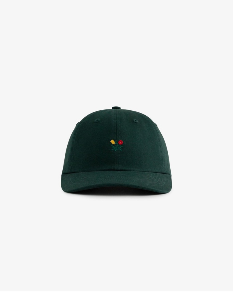 Green Aime Leon Dore Brushed Crest Unisex Hats | JGXUM3049